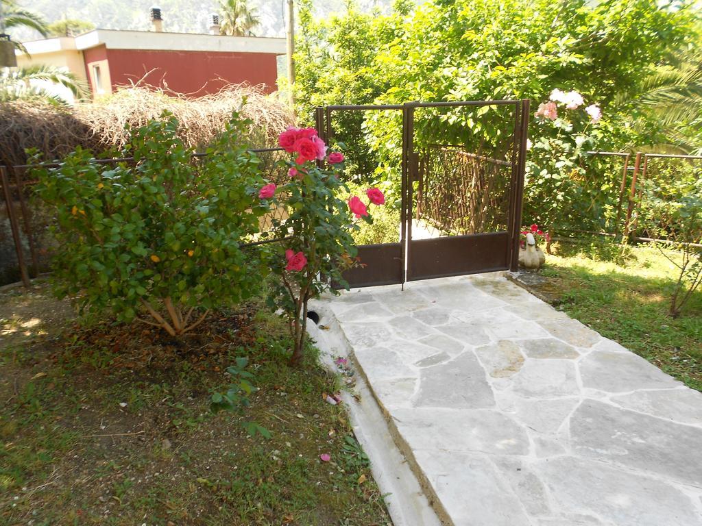 Apartments Samardzic Kotor Exterior photo
